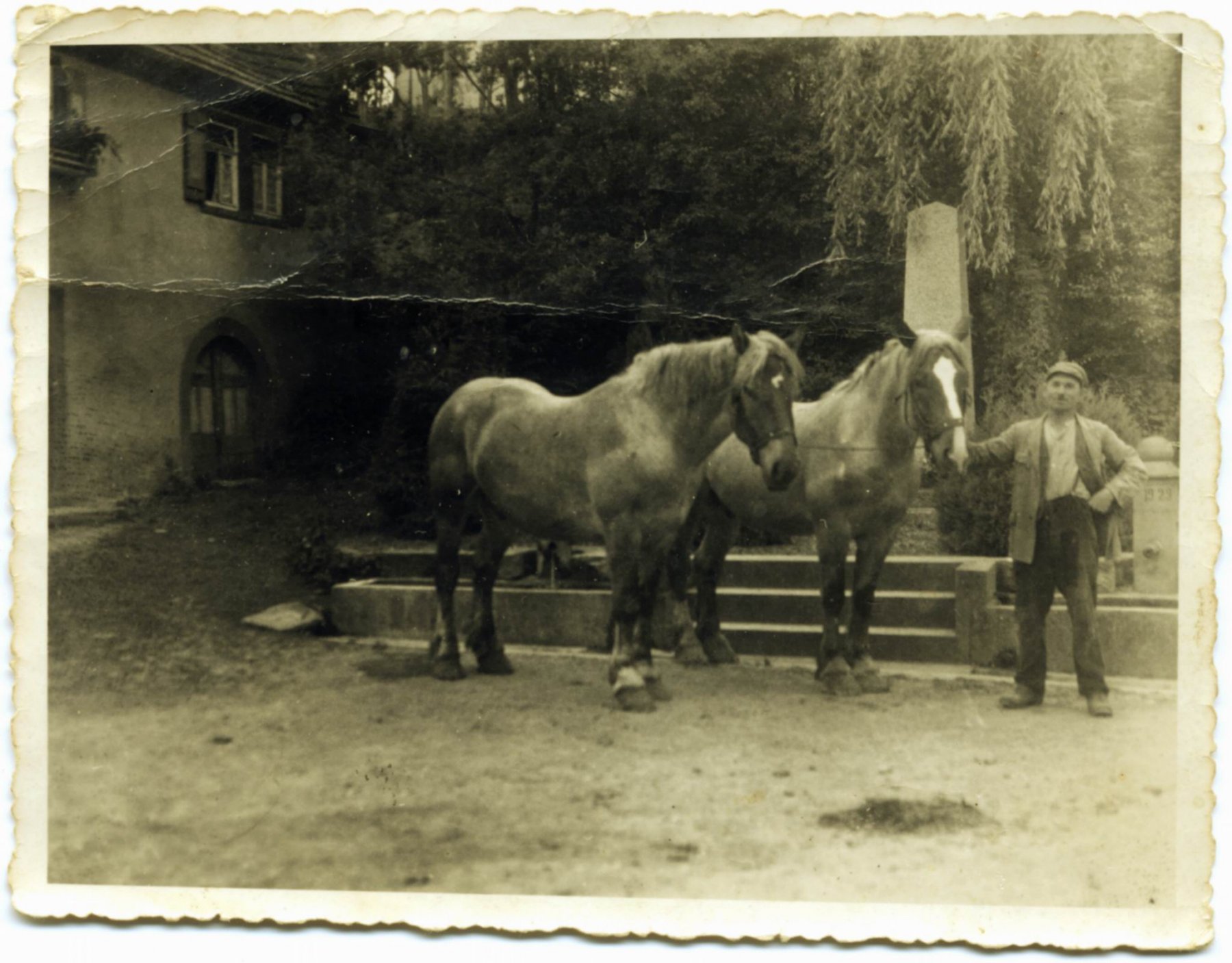 arbeitspferde vor dem dorfbrunnen 1934